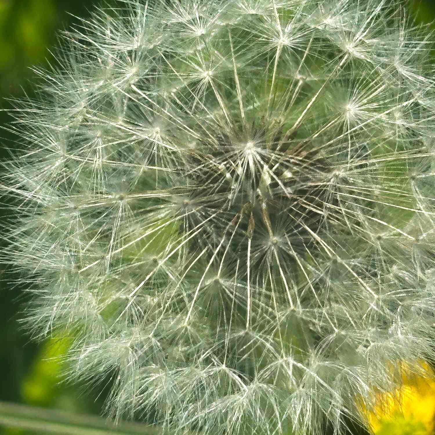 Brauereientour Mai 2025