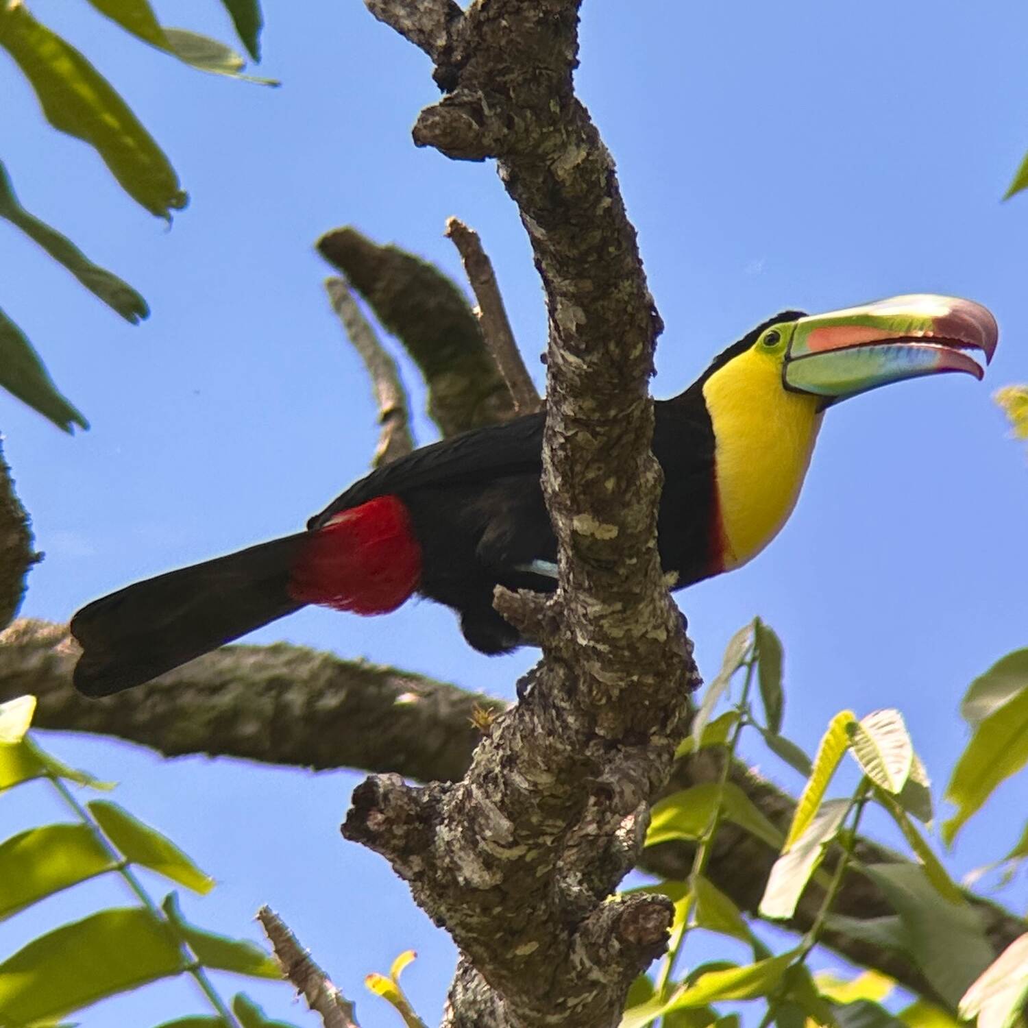 Costa Rica