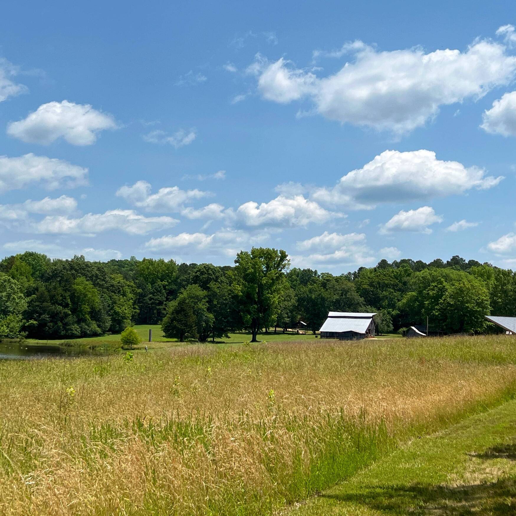 Hiking, etc in Durham