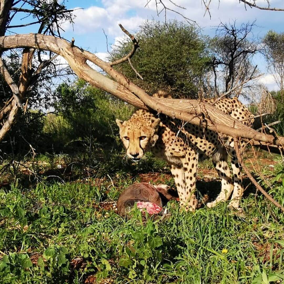 Namibia Part 1