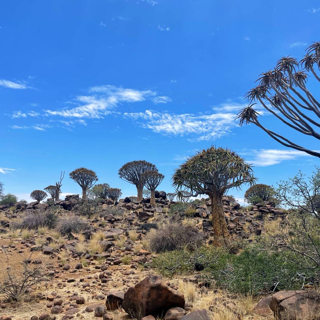 Namibia 2.0