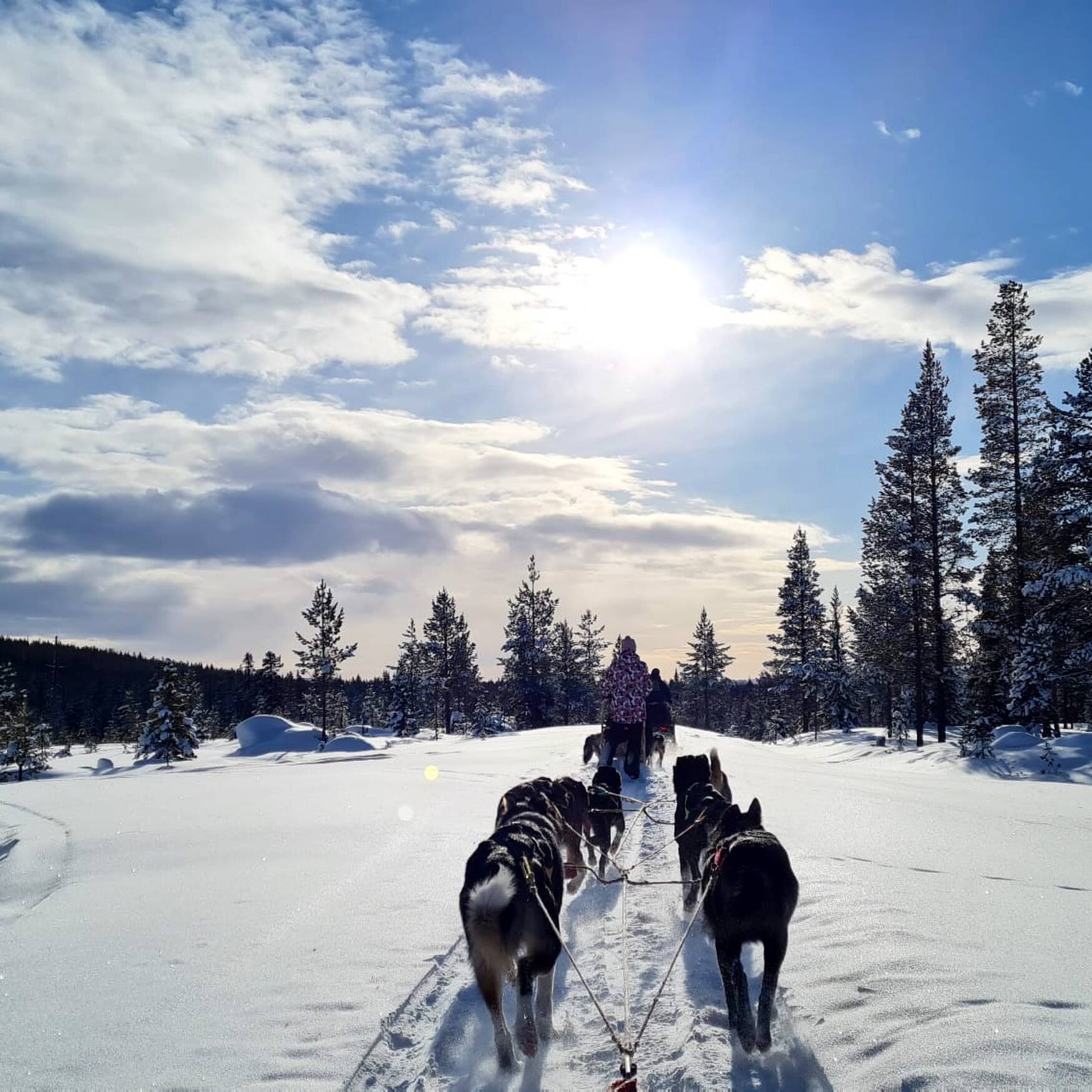 Lappland 2023