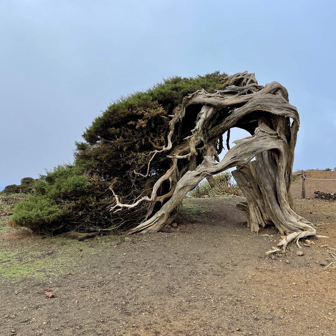 El Hierro