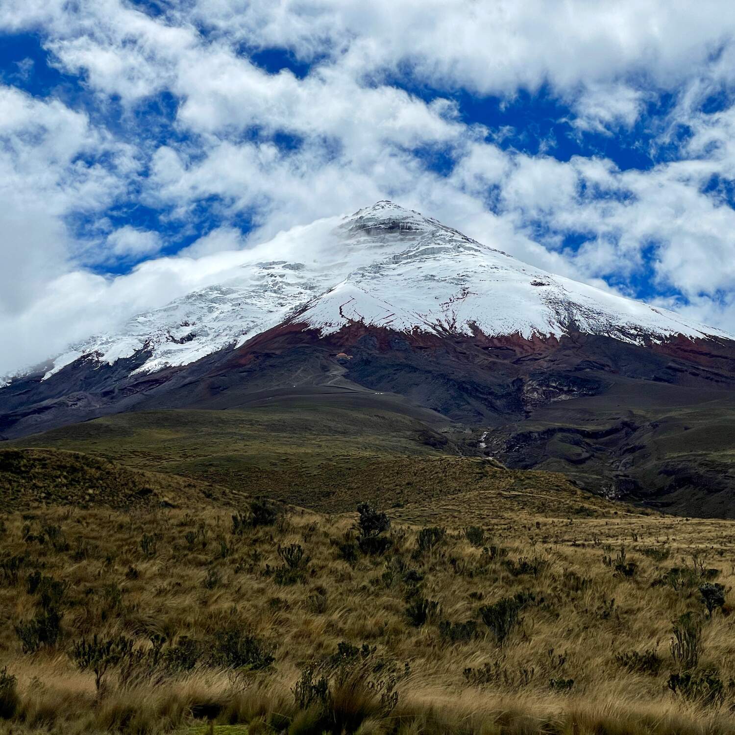 Ecuador: Anden und Galapagos
