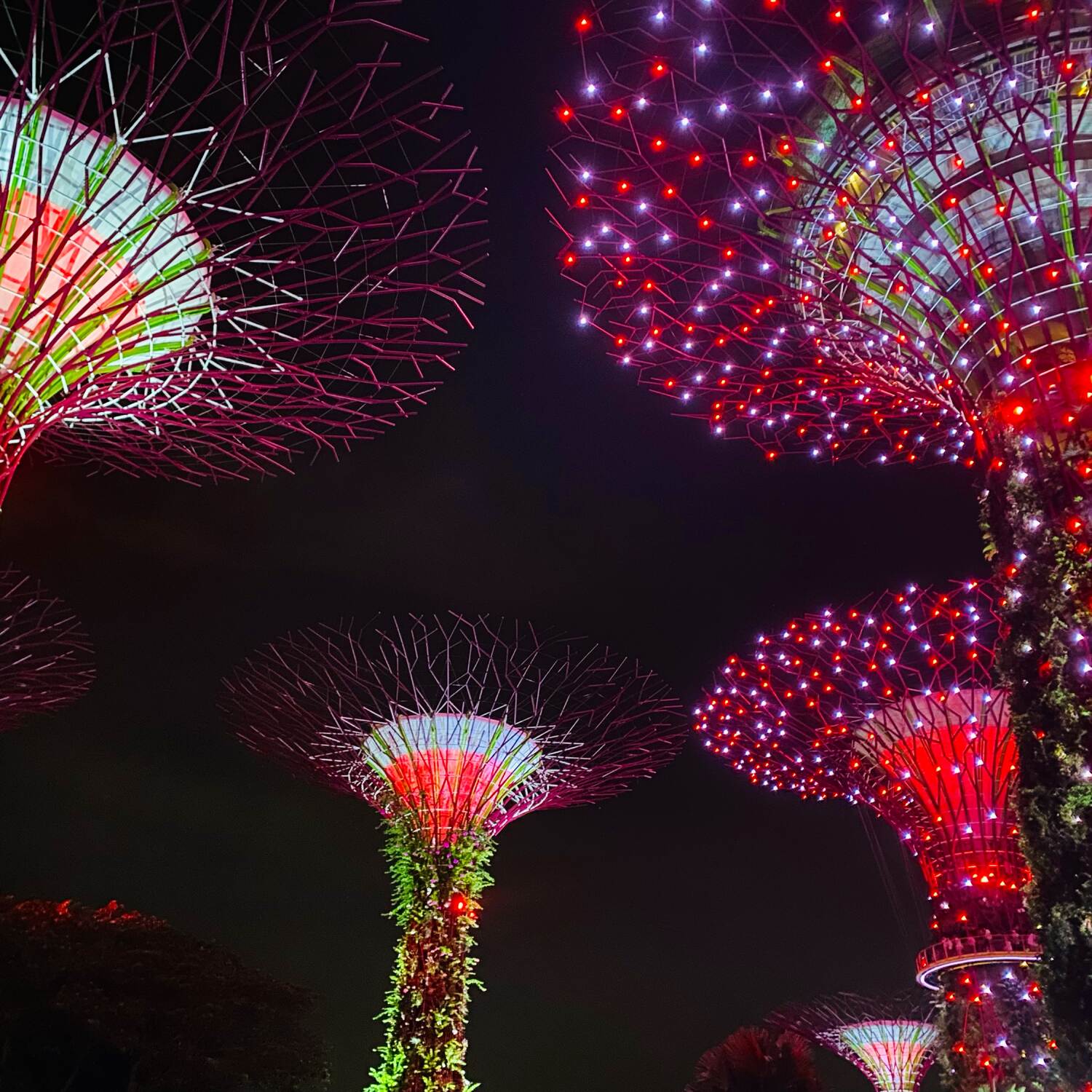 Singapore🇸🇬
