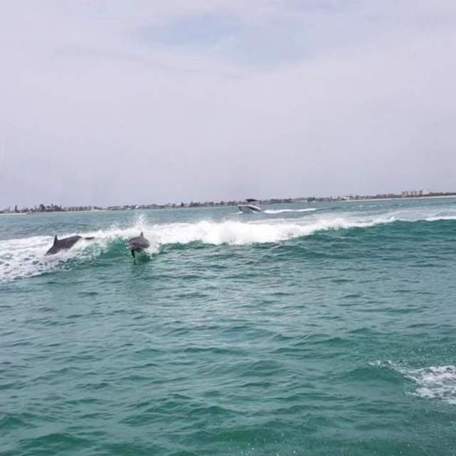 Florida