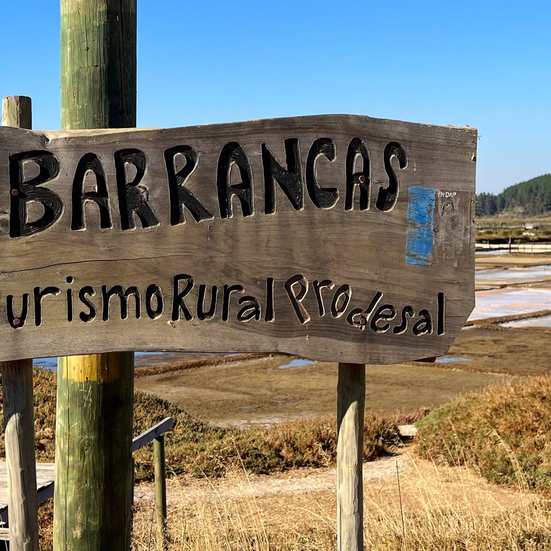 South America