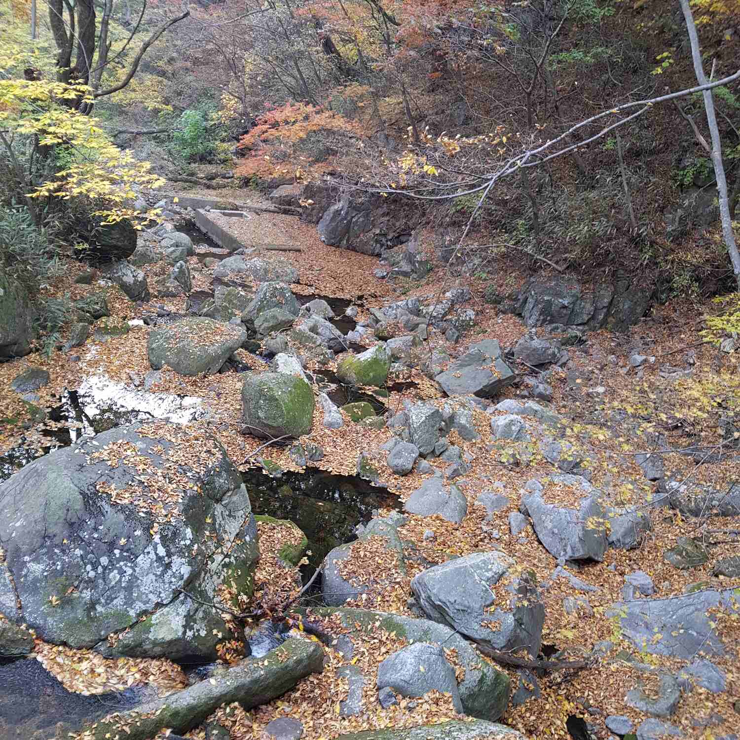 South Korea