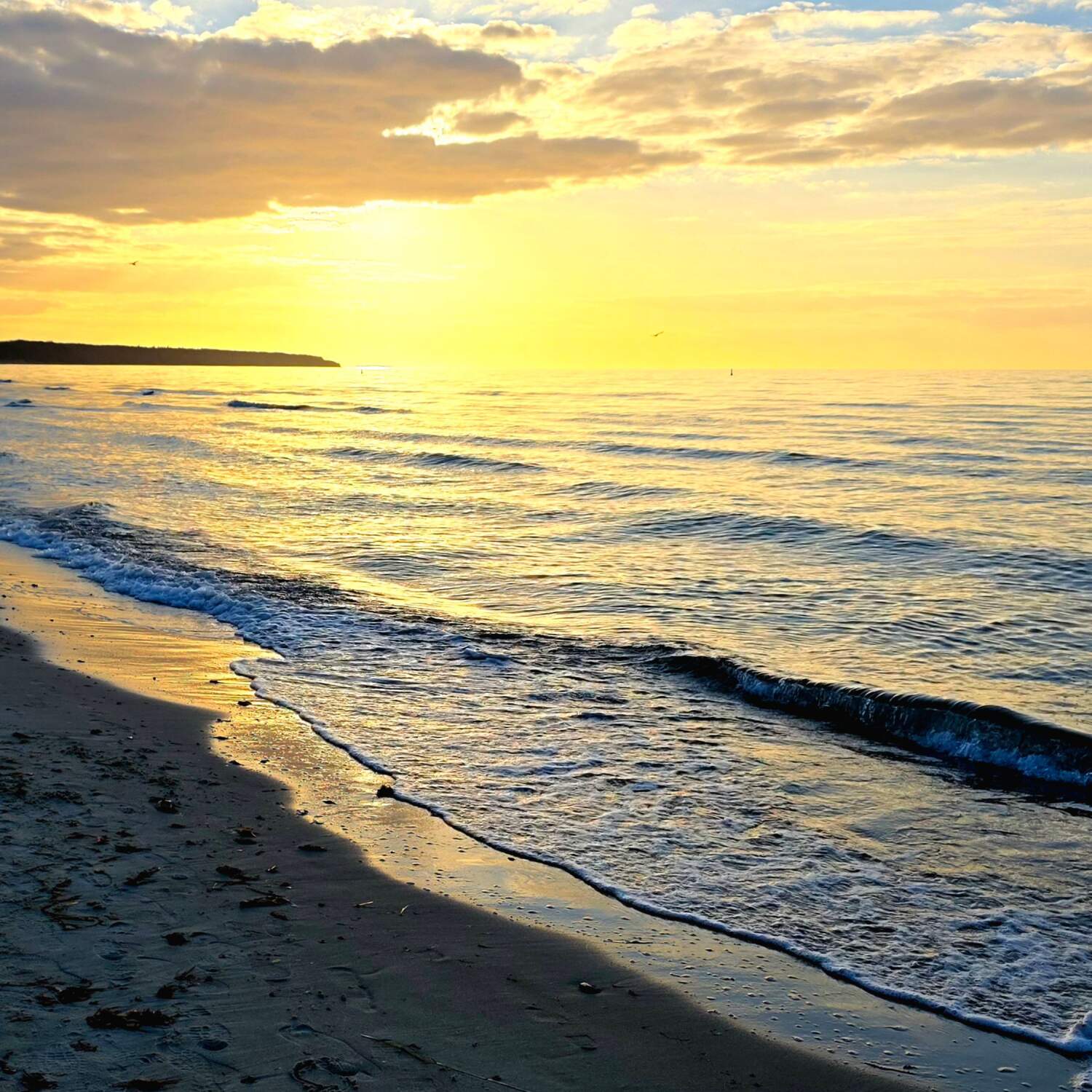 8 Nasen schnuppern Ostseeluft