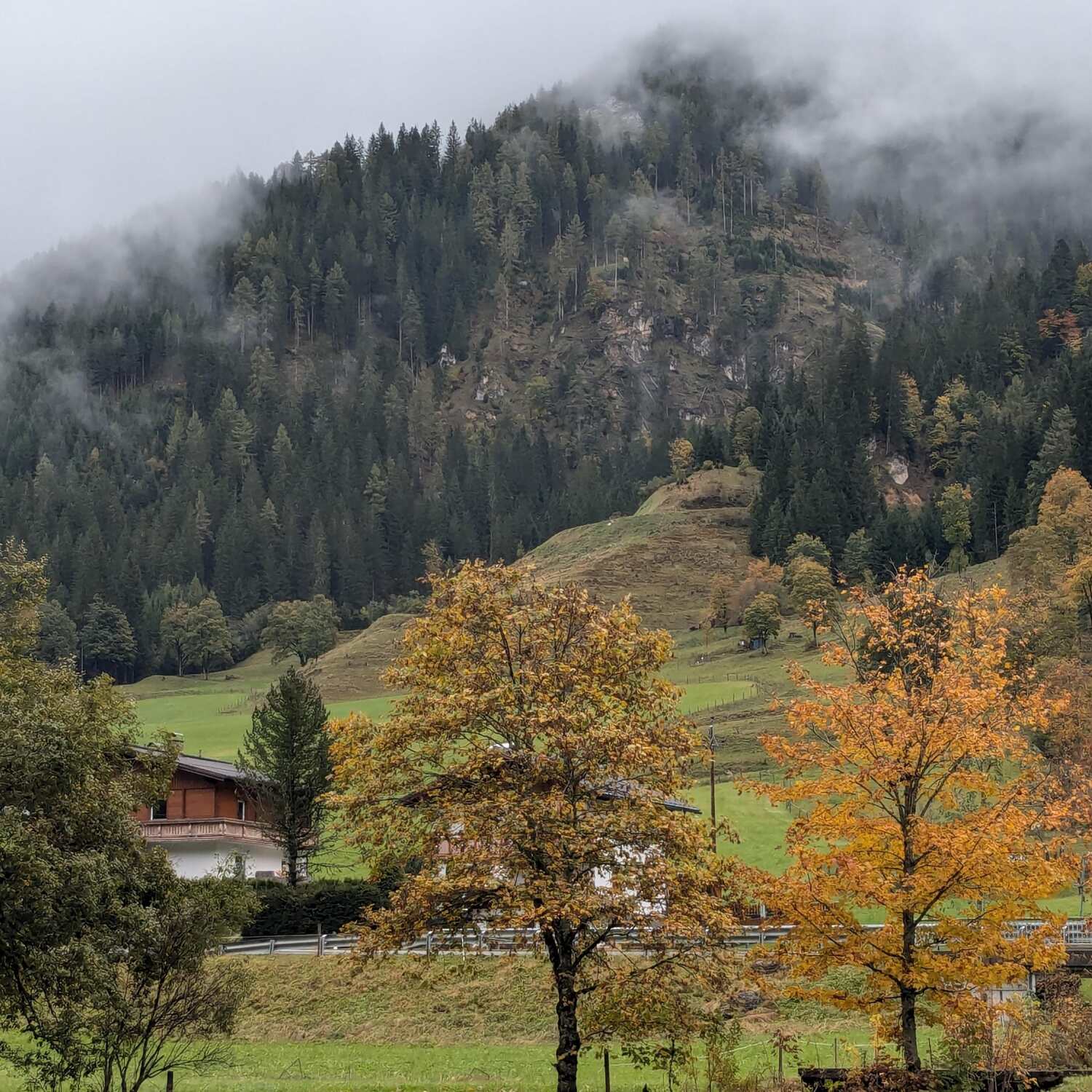 Familienhotel Kesselgrub