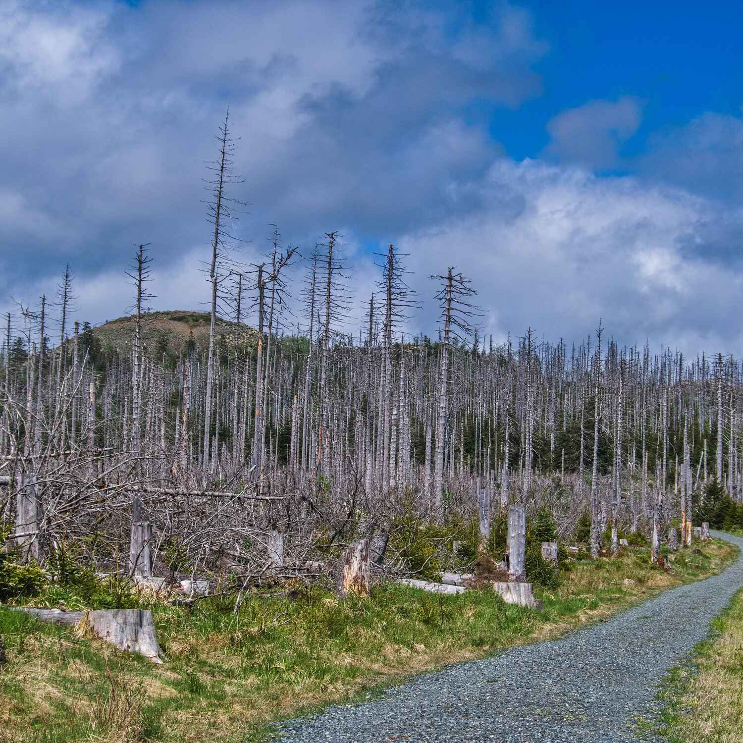 Wanderung zum Achtermann