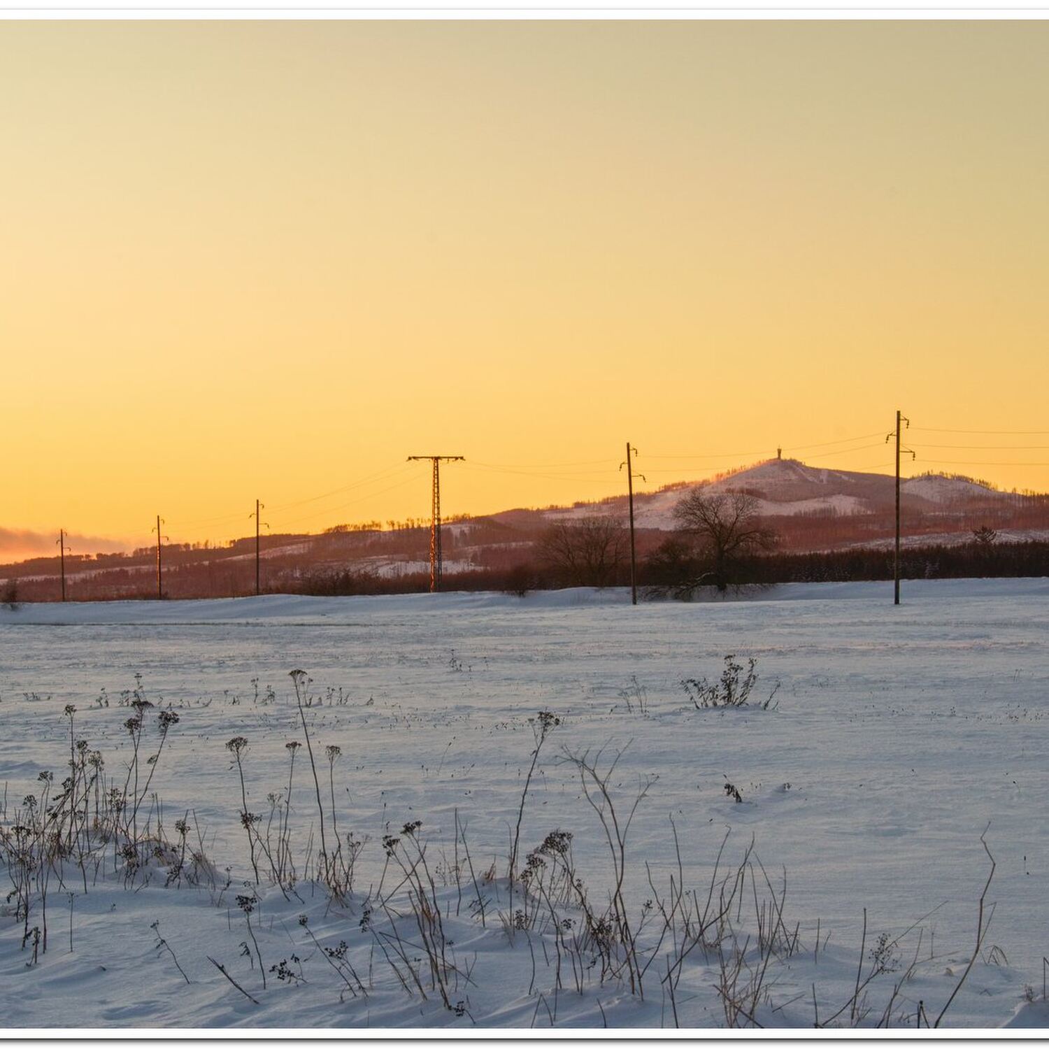 Schnee im Januar 2025