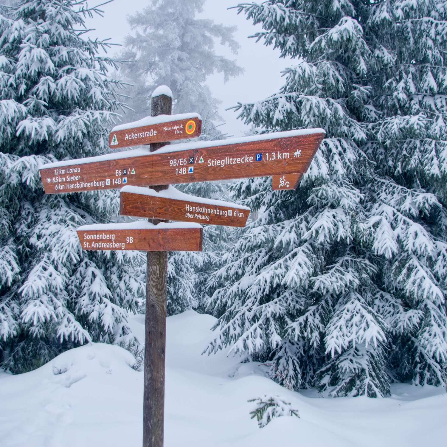 Langlauf auf der Ackerloipe