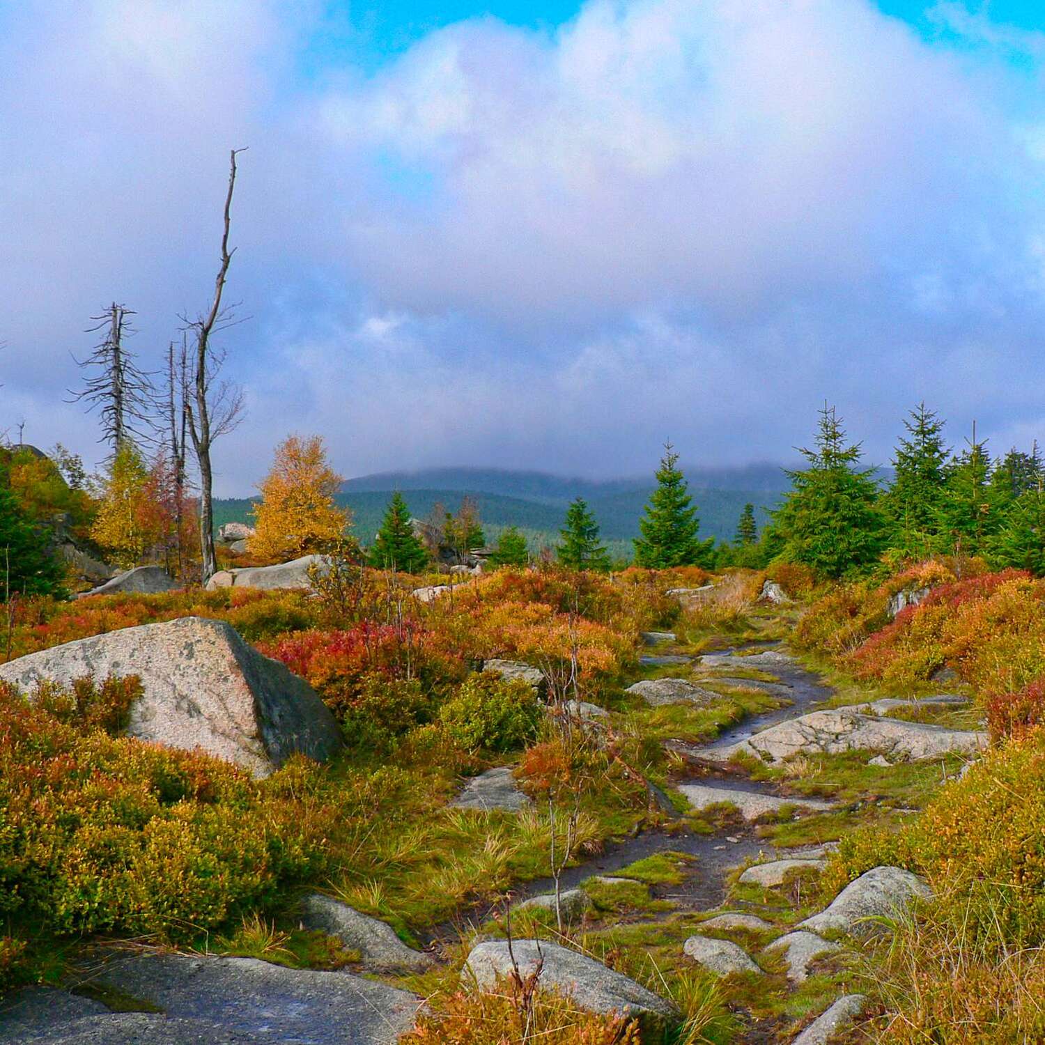Wanderung Zeterklippen