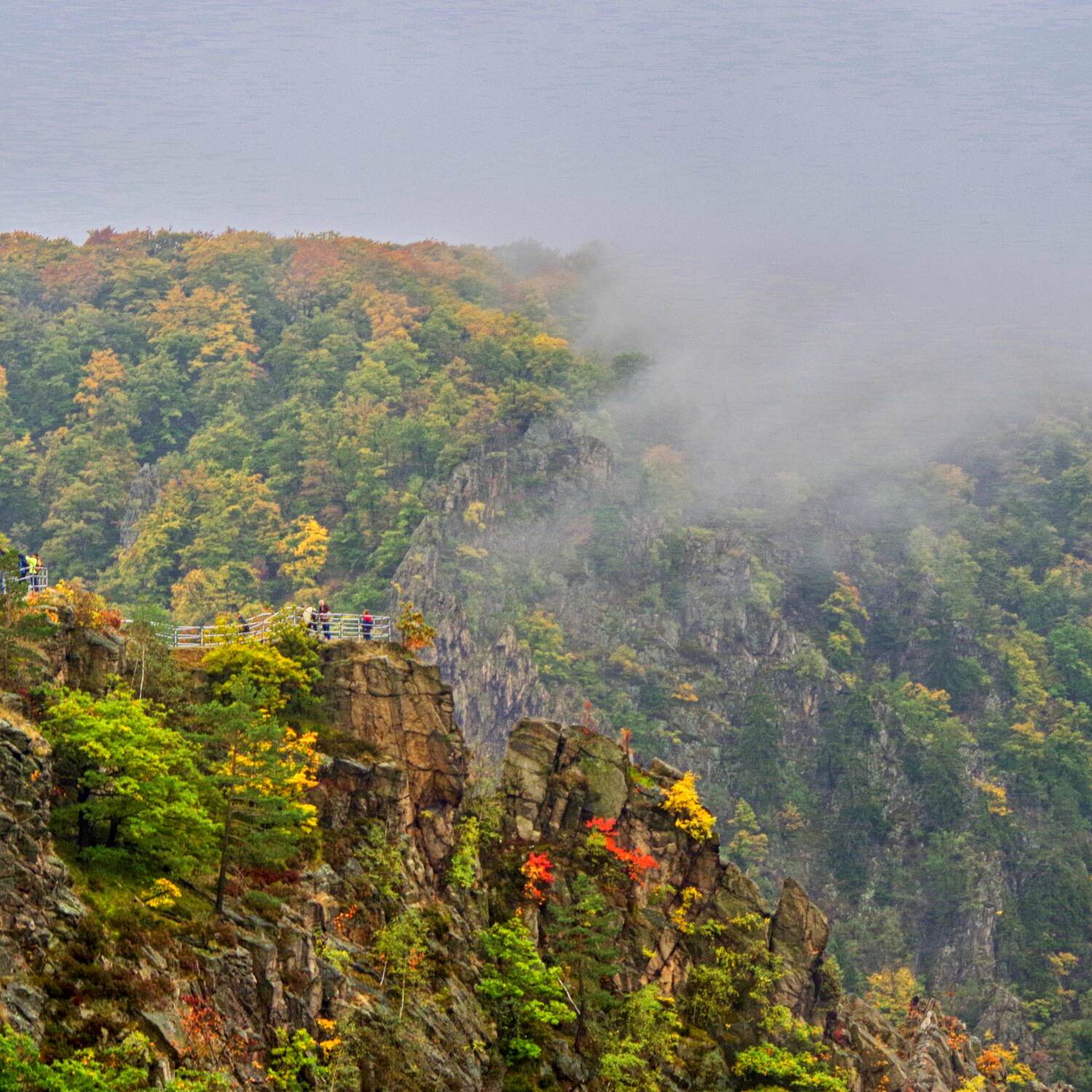 Photowalk im Bodetal