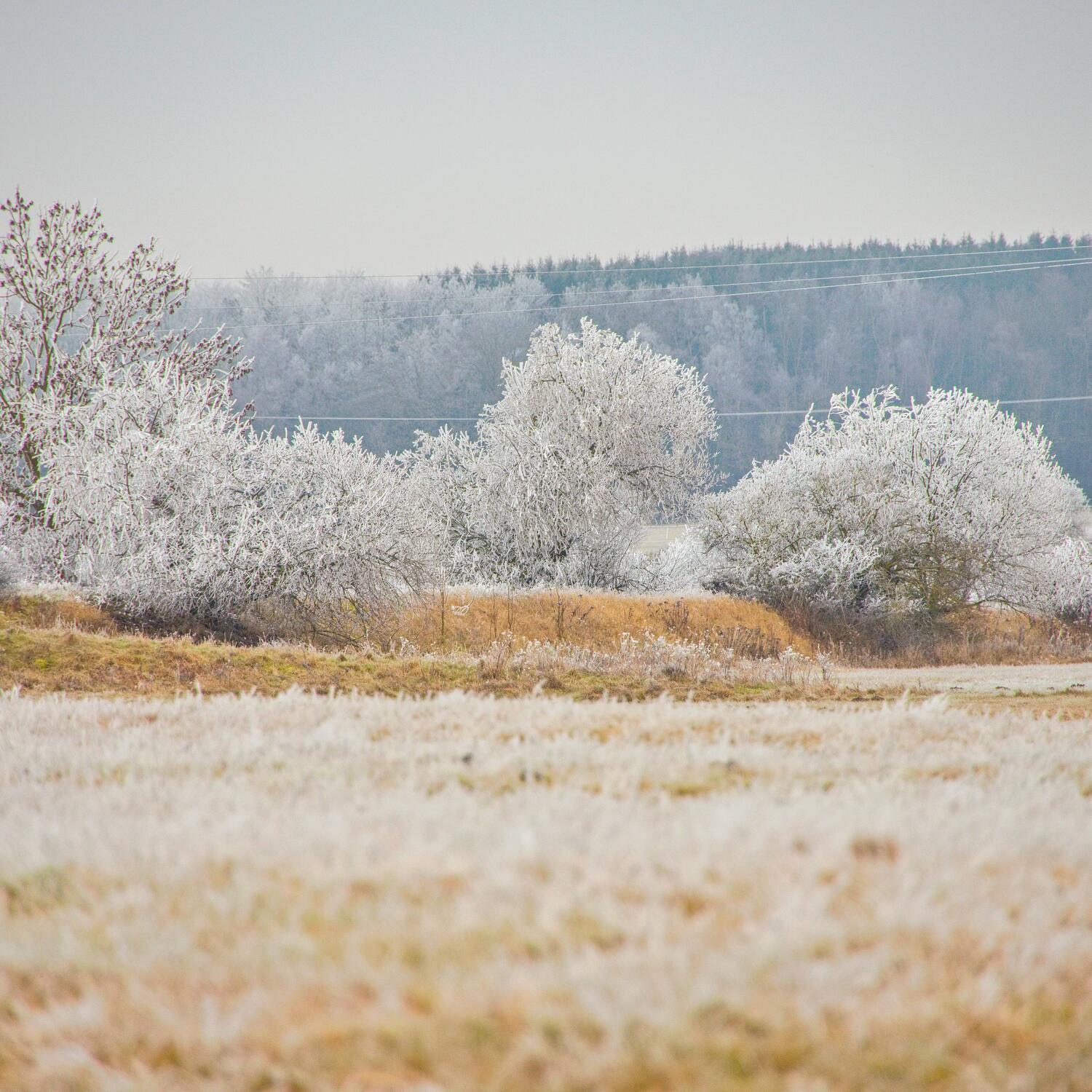Weihnachtsspaziergang