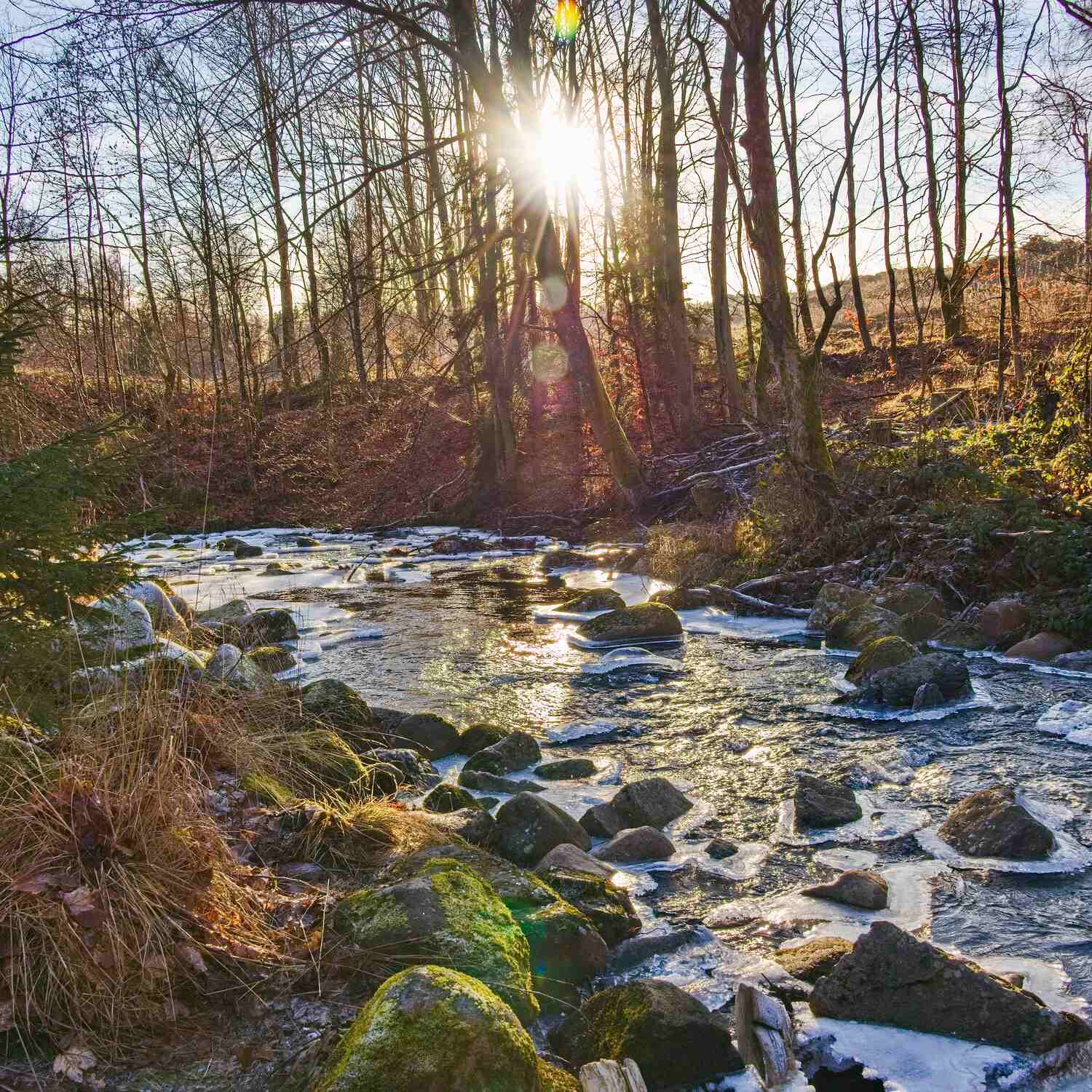 Rundweg durchs Elendstal