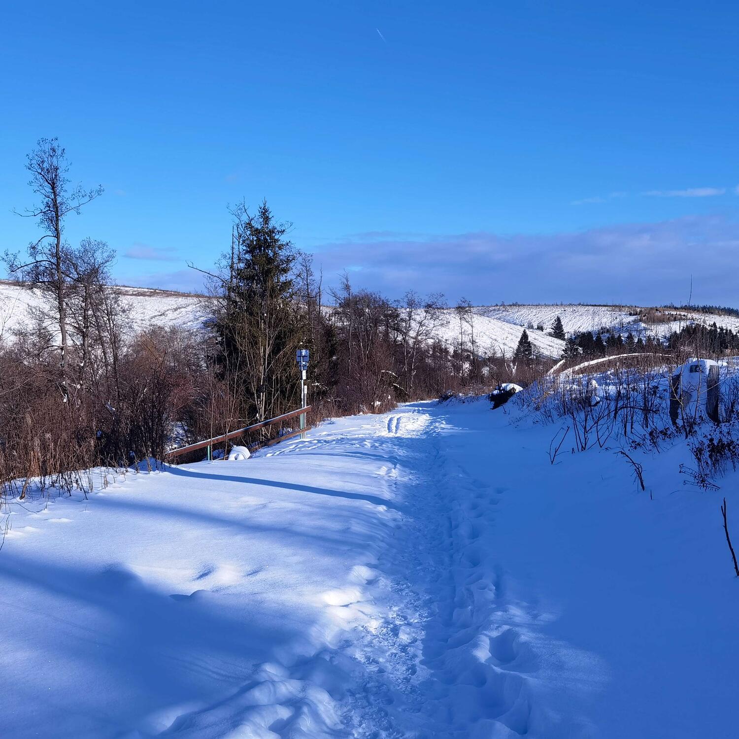 Skitour Königshütte