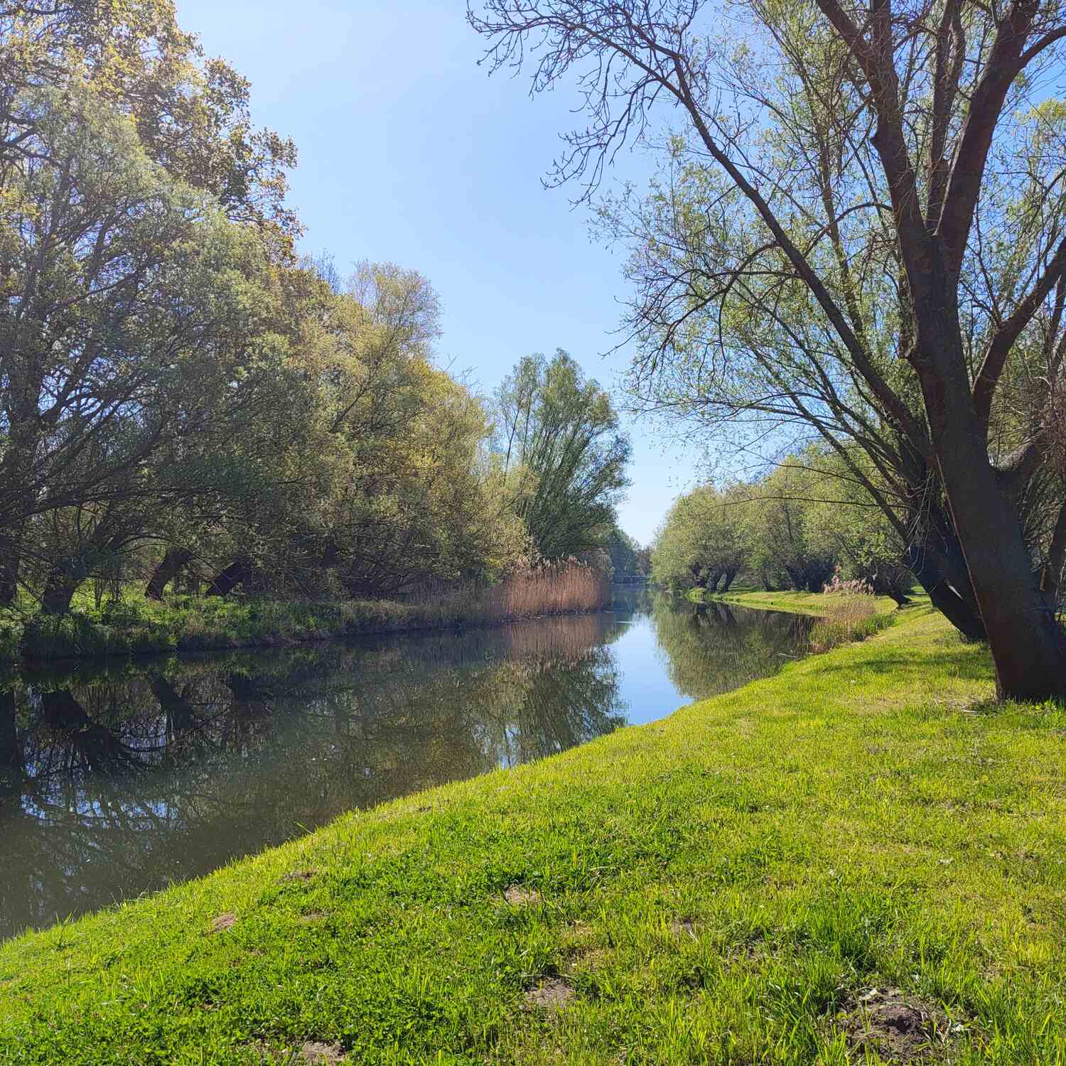 Boderadweg ab Egeln