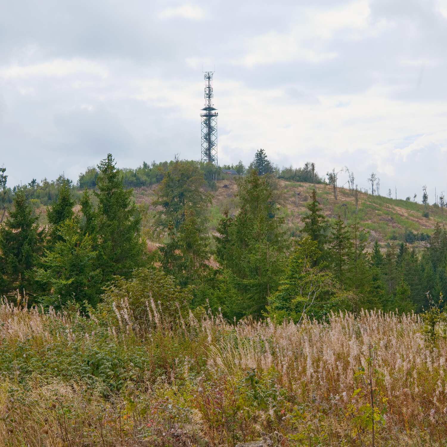 Wanderung Carlshausturm