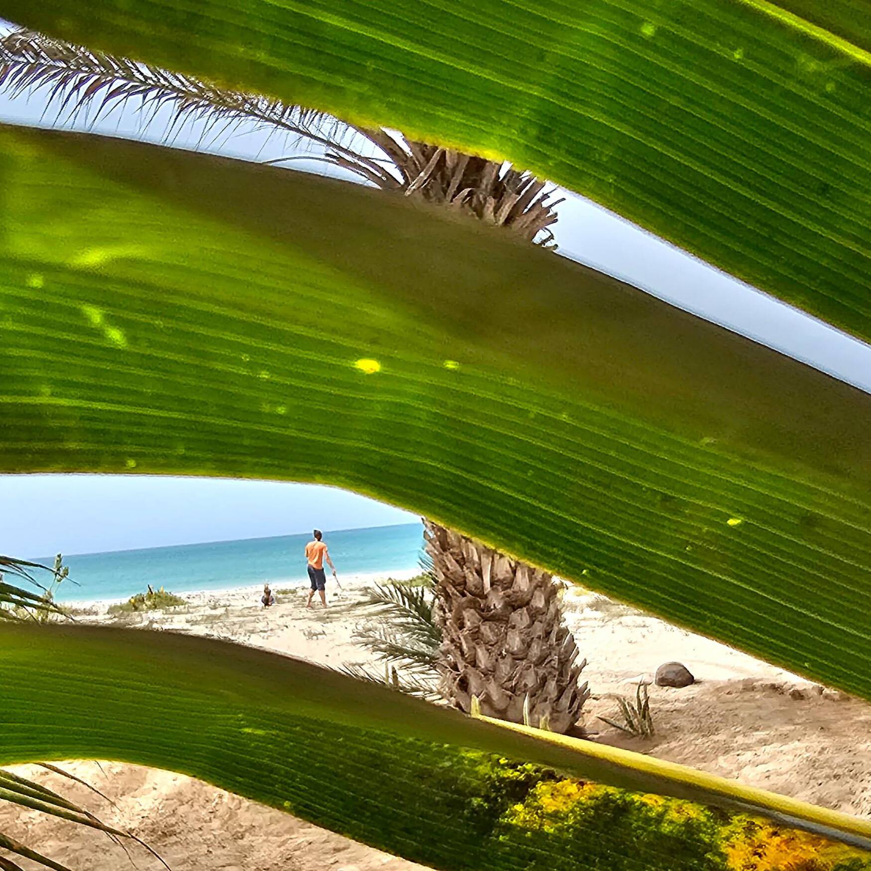 Cabo Verde-4 Inseln entdecken