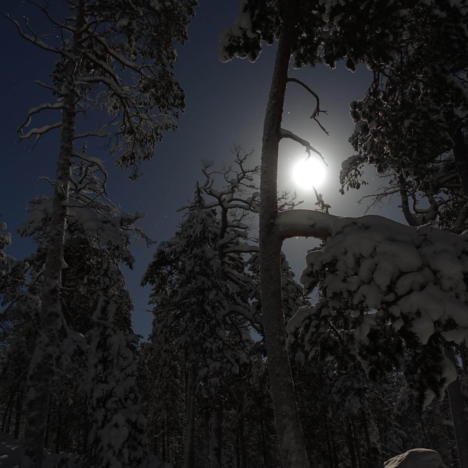Finnland Lappland Inarisee
