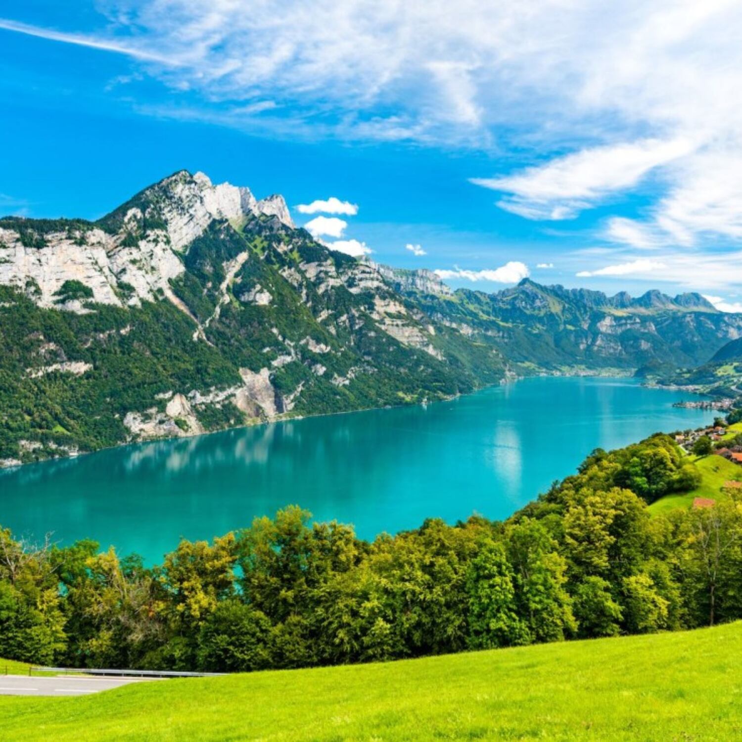 The Shrekens hit Switzerland
