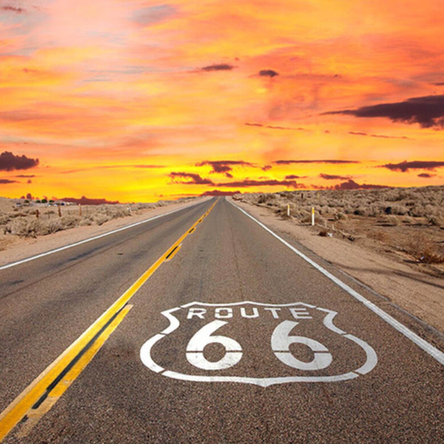 USA Roadtrip 2024