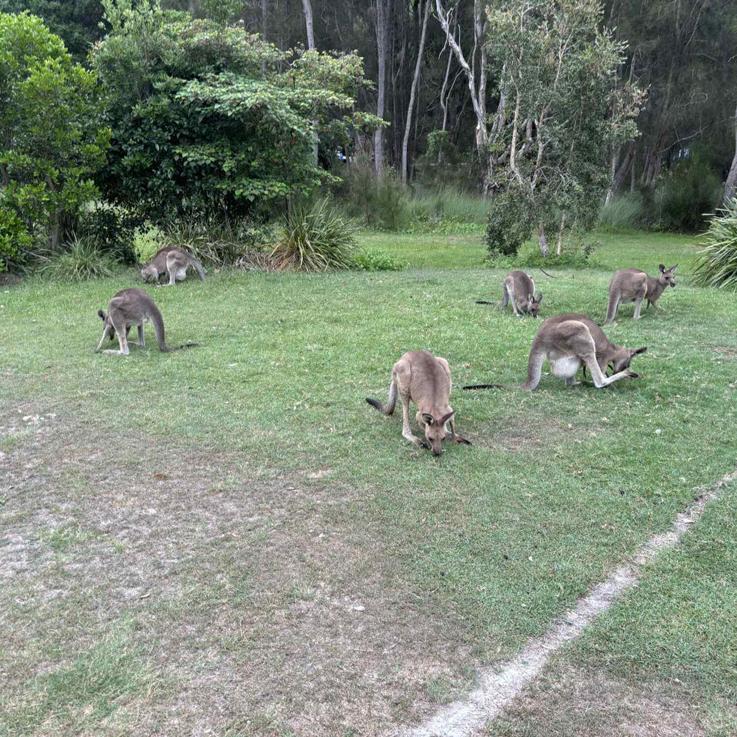 QLD Feb 2024