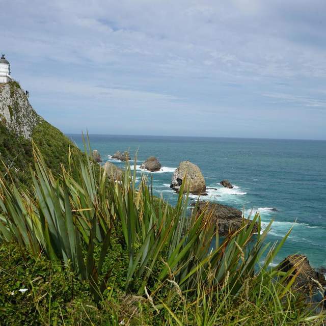 New Zealand