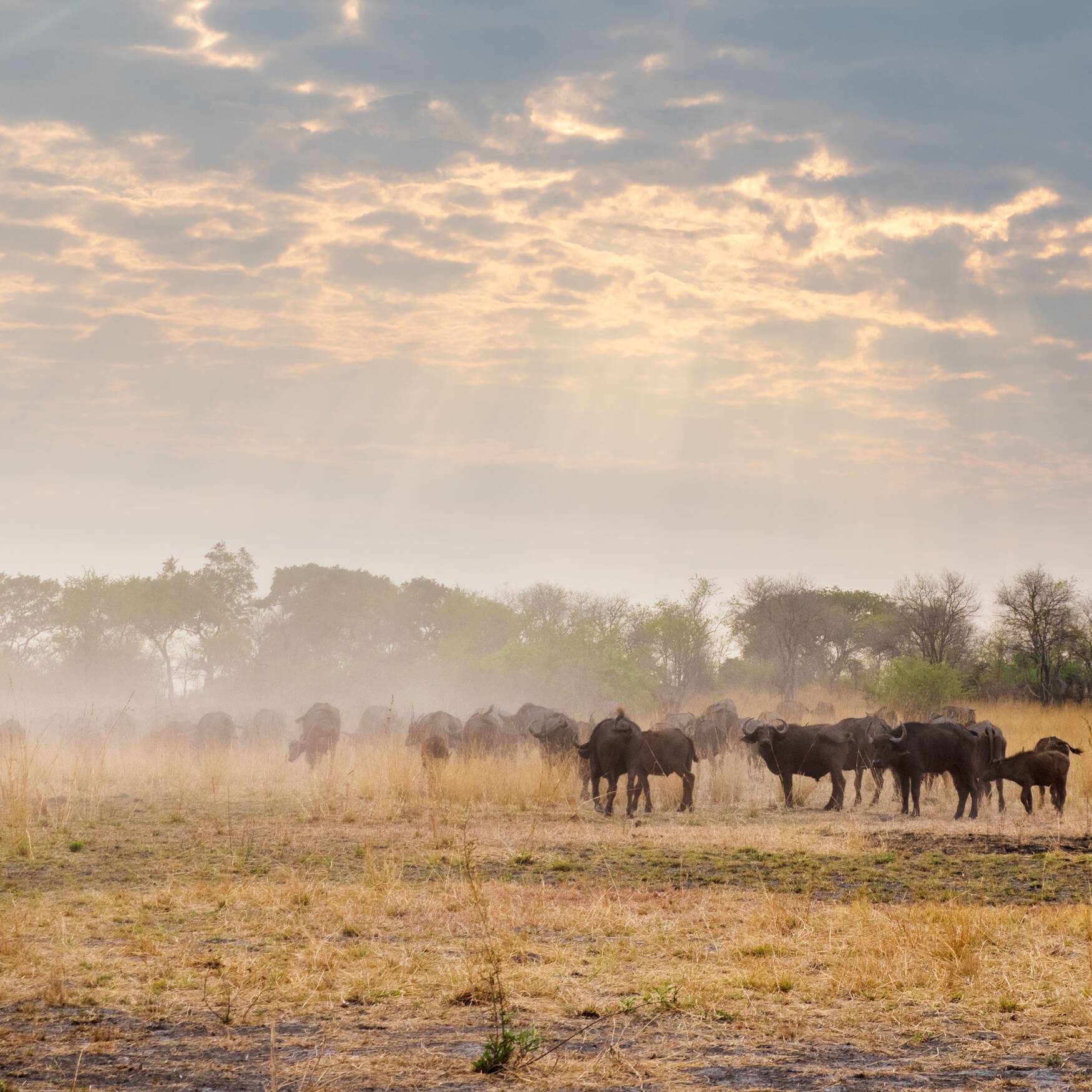 Victoria Falls bis Windhoek
