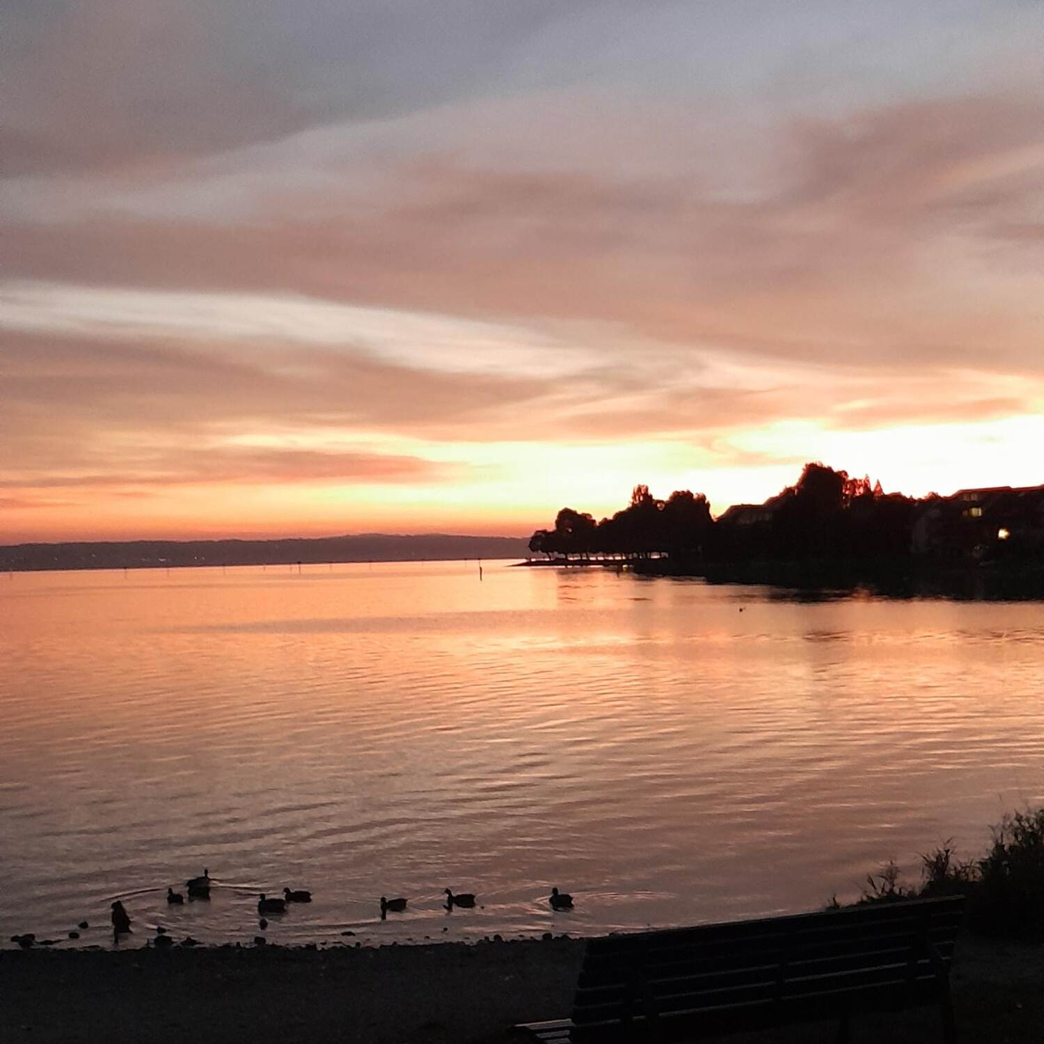Immenstaad/ Bodensee ⛵️