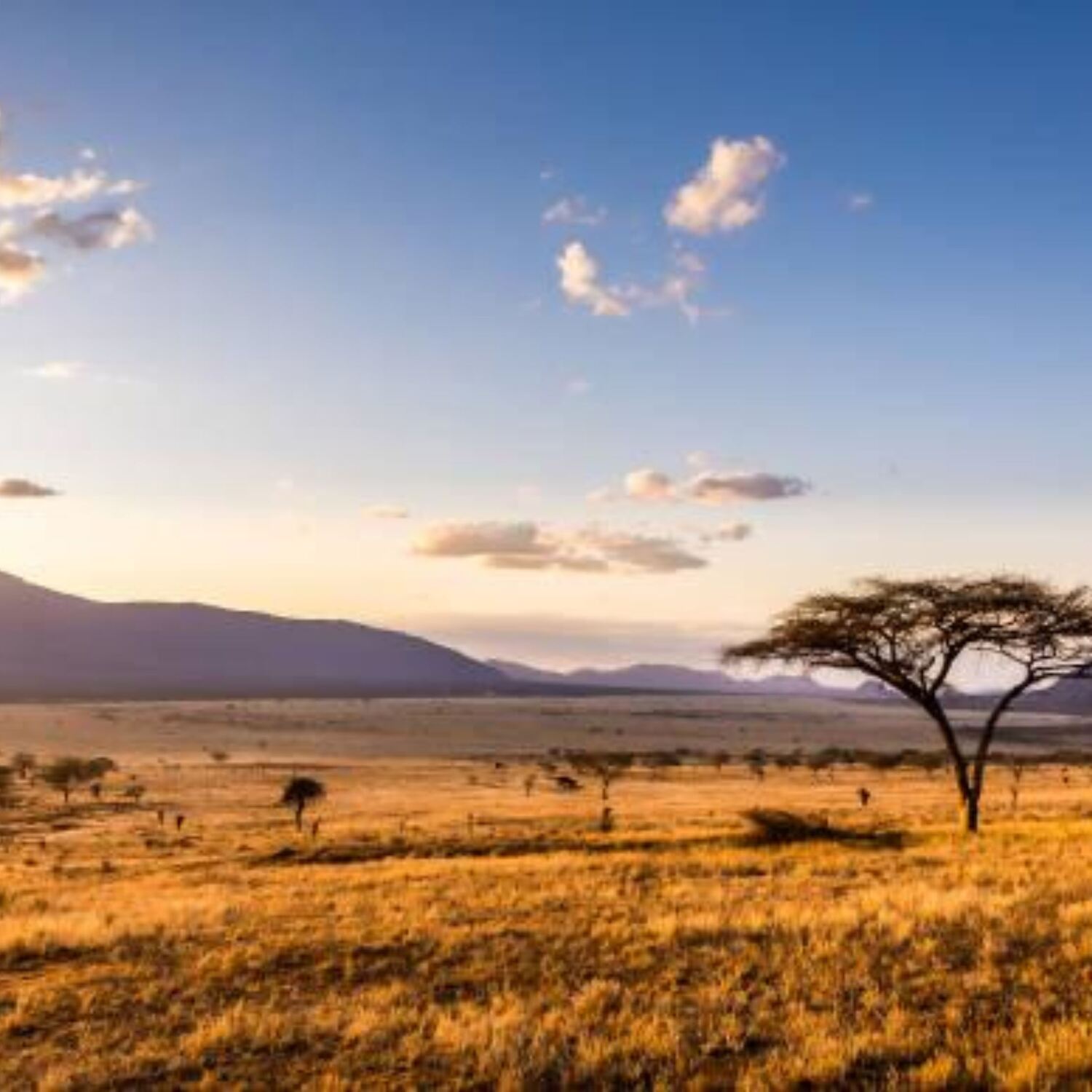 2026 Afrika