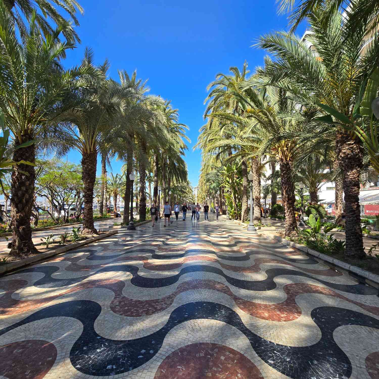 Alicante