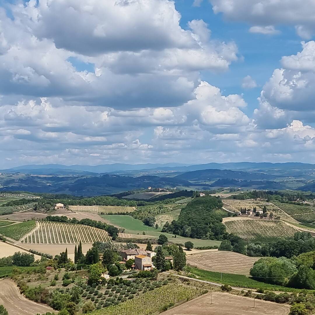 Degustazione vini