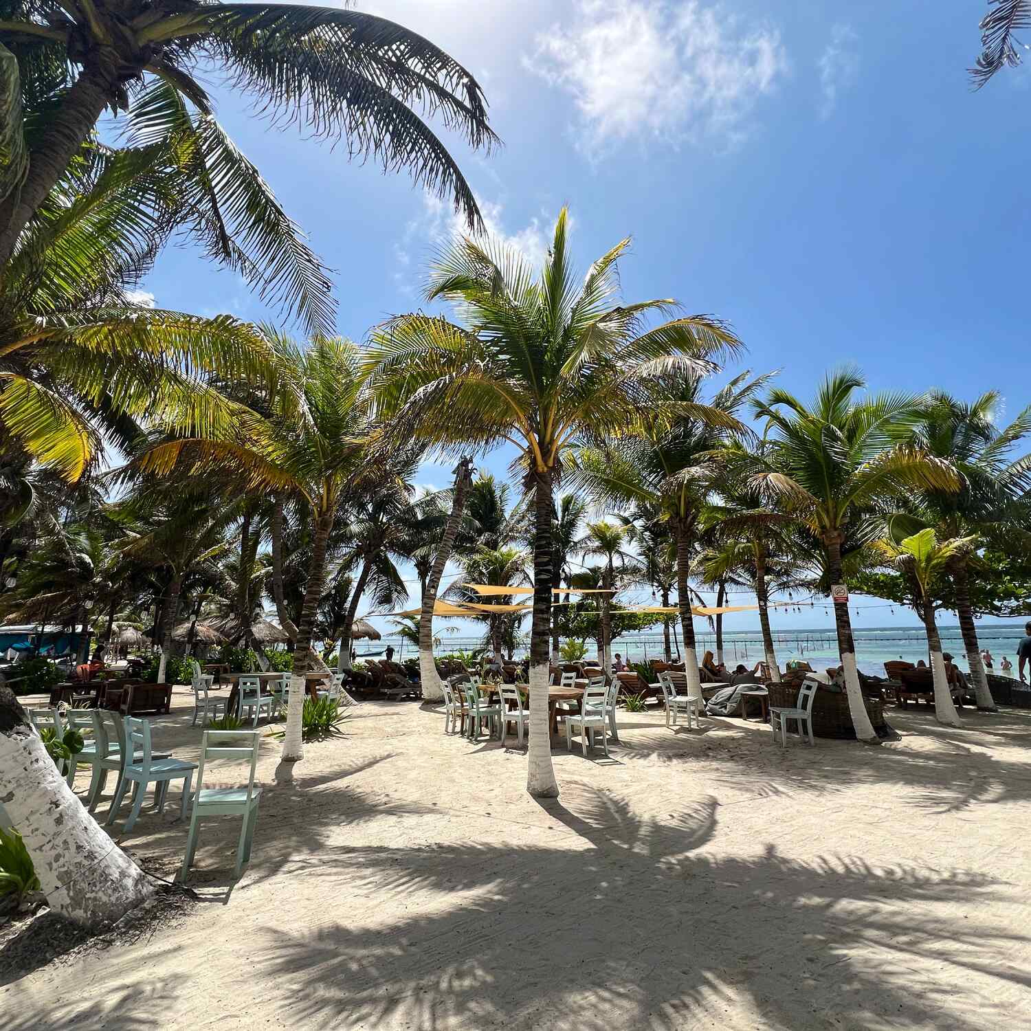 Caribbean Birthday Cruise