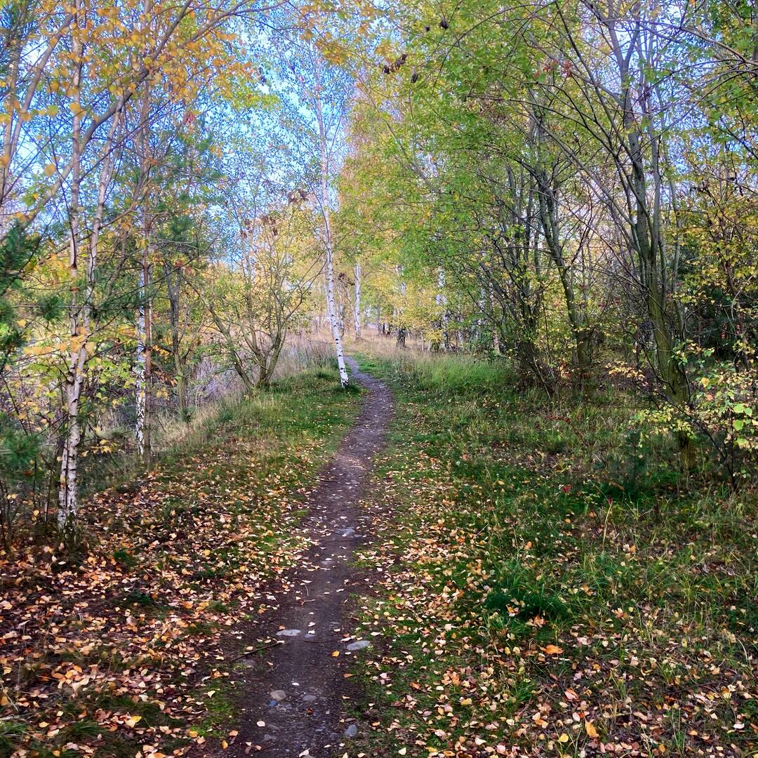 Okertal bis Schladen