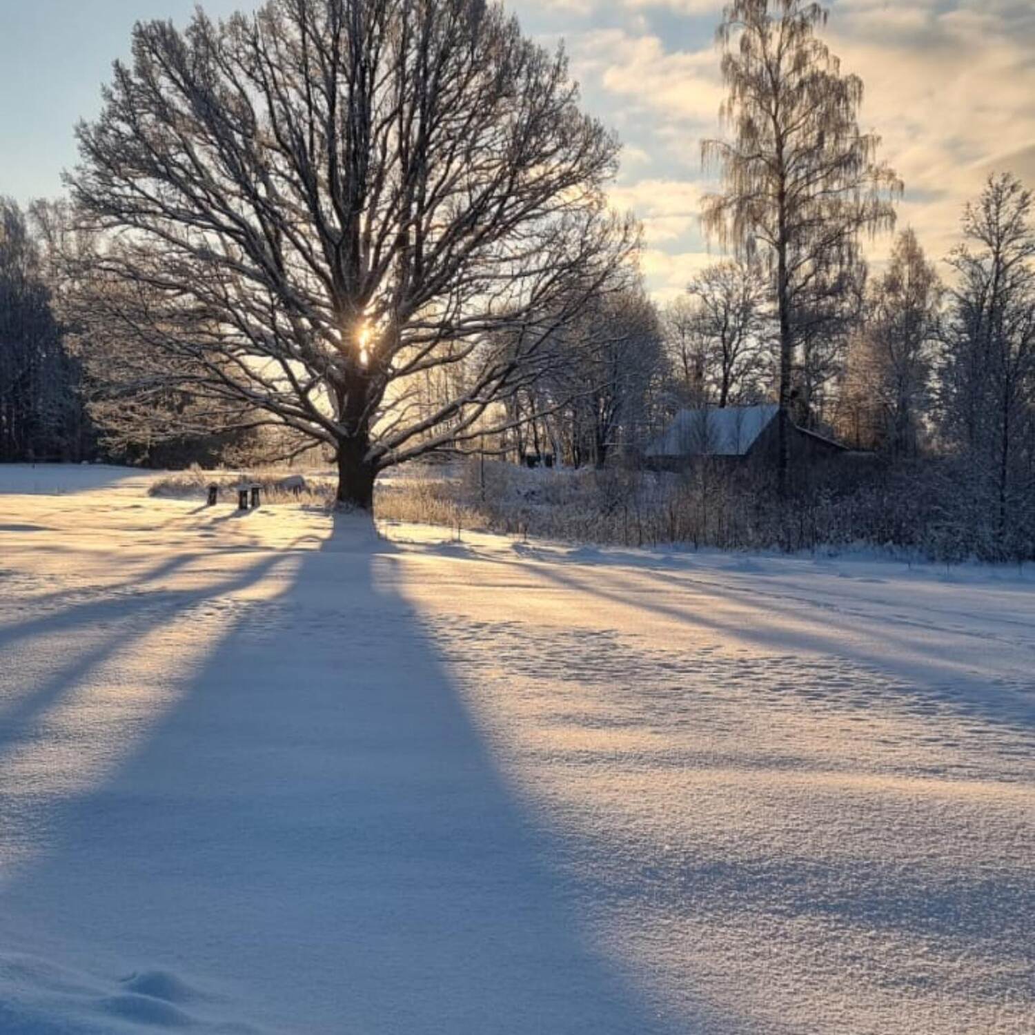 White Christmas in Europe