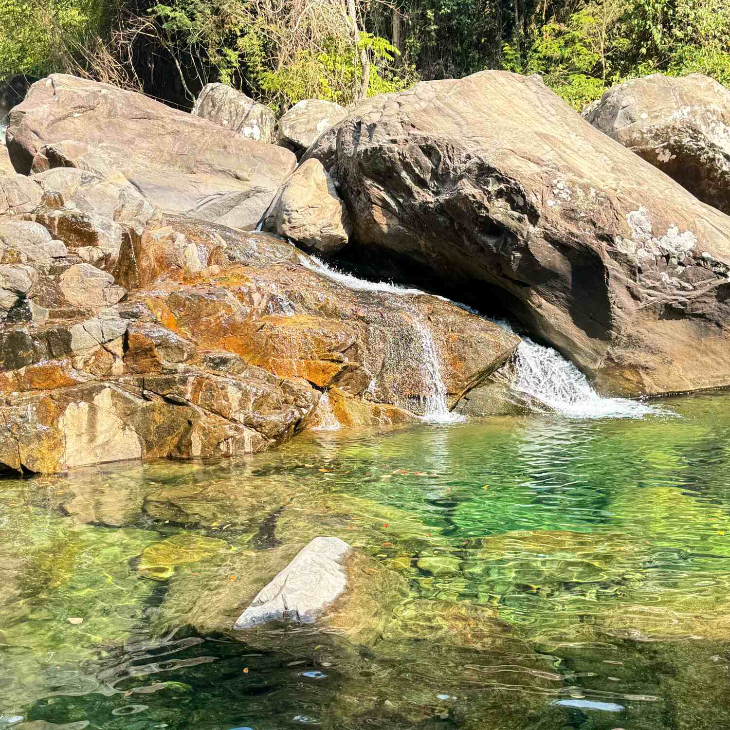 Alto do Caparaó