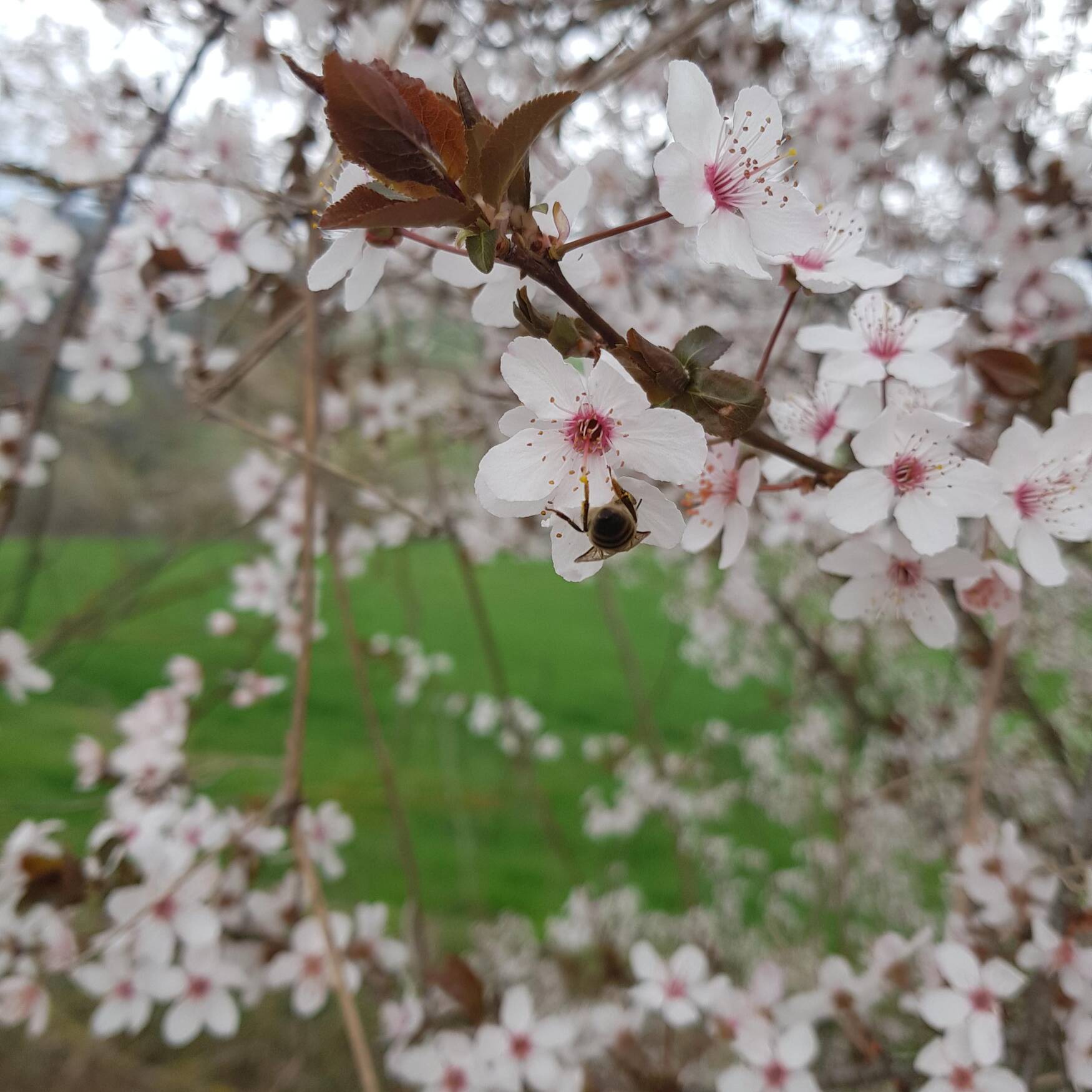 Trekking e camminate varie