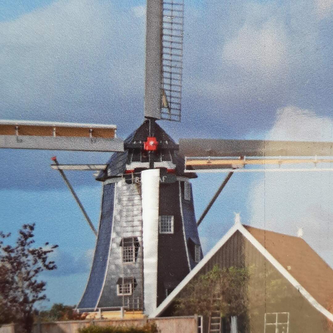 Wieder hier ....... Vreehorst