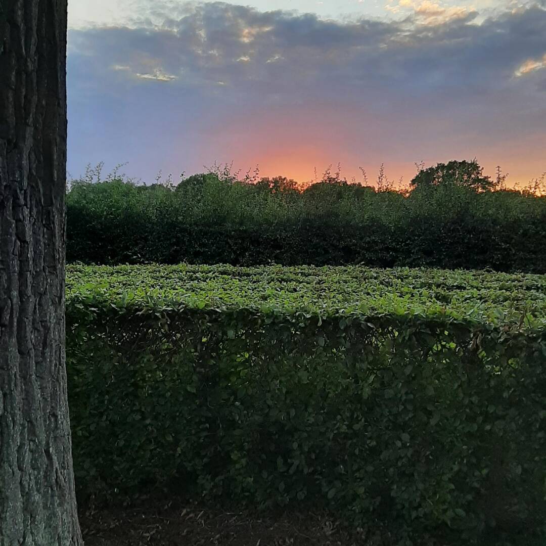 Landgoed de Zonnebloeme