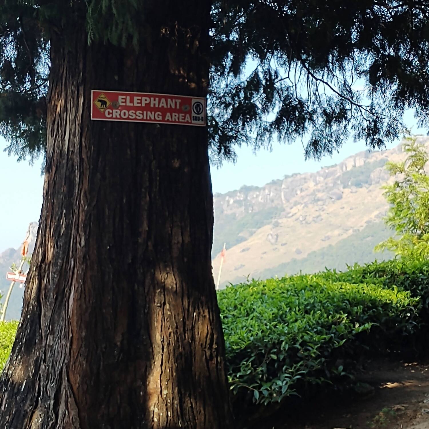 Indien von Ost nach West