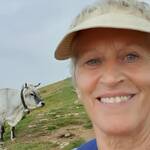 Anne Wildbrett