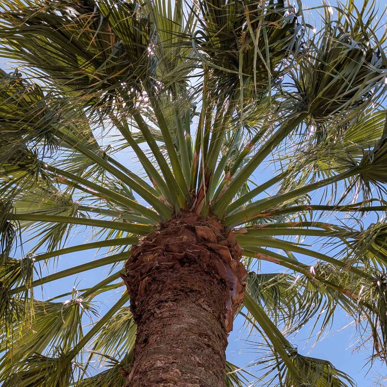 Von Kapstadt nach Mauritius