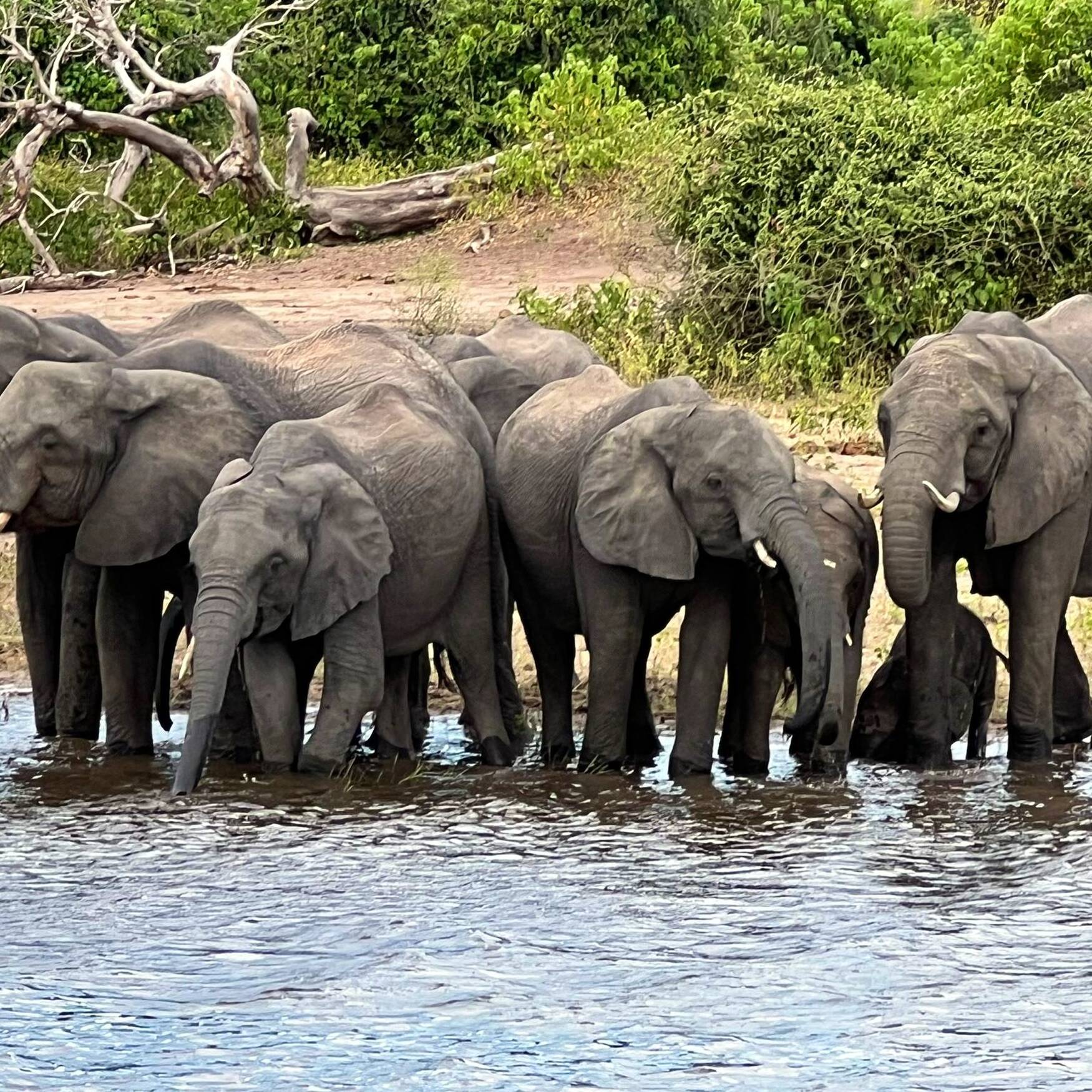 Südafrika, Botswana, Zimbabwe