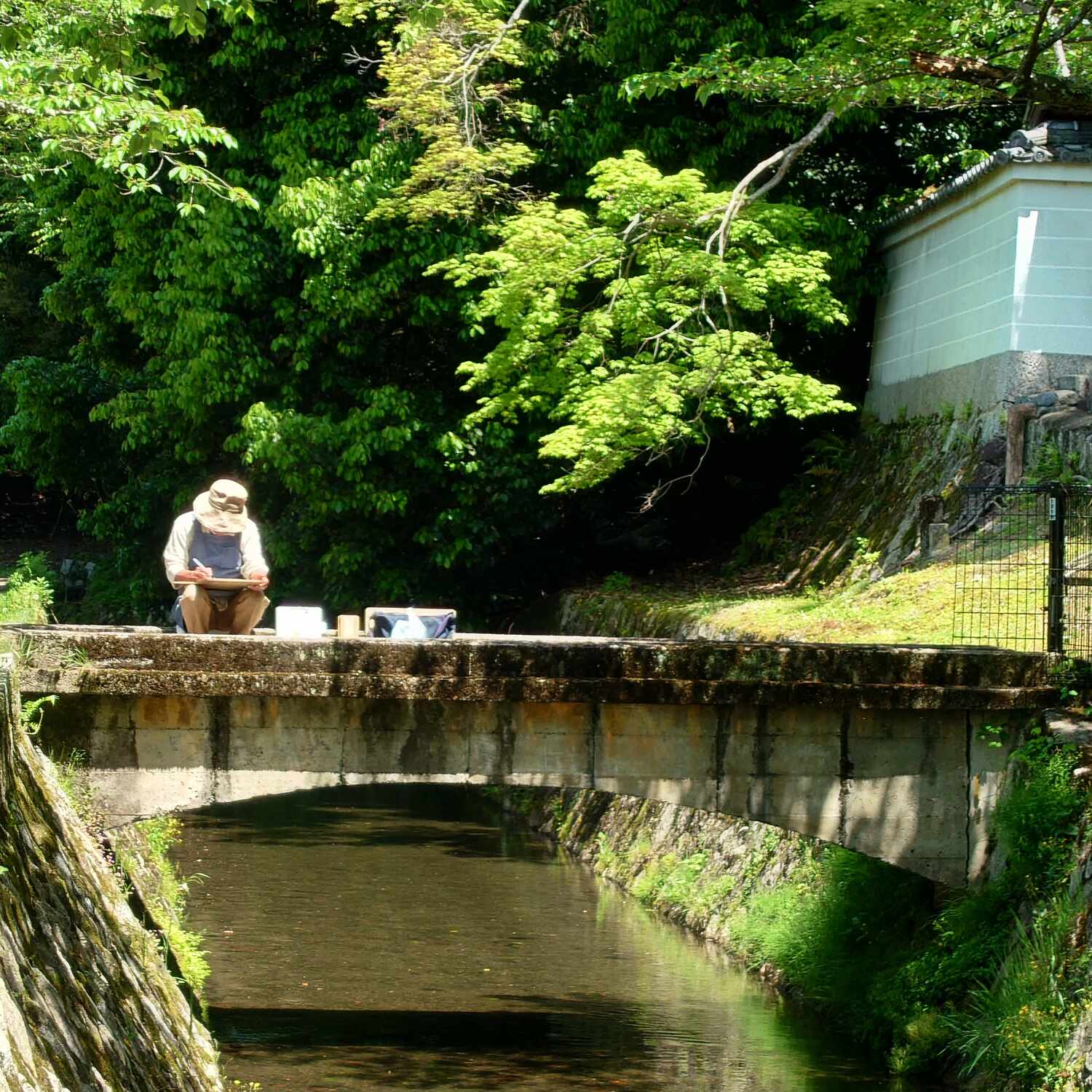 Japan - the Kumano Kodo trail