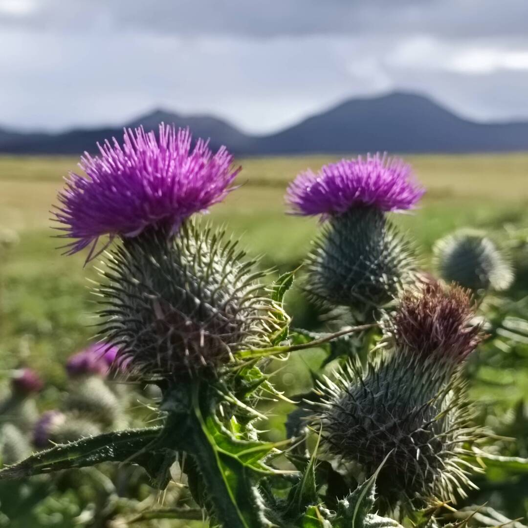 Schottland 2022