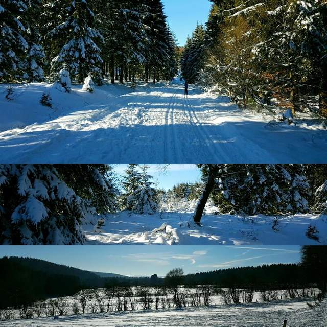 Winter Jura