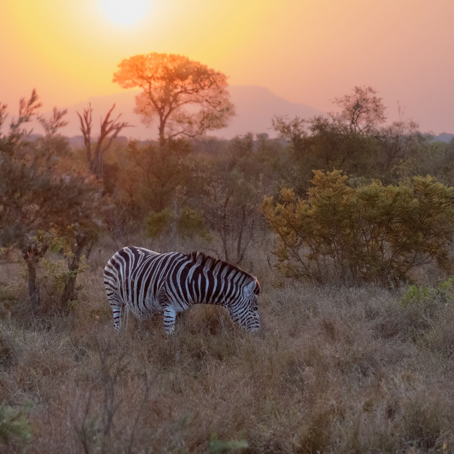 Südafrika